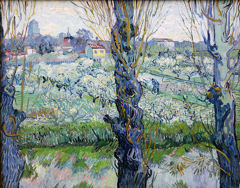 View of Arles 